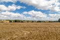 A view over Suffolk farmland on a sunny summer\'s day Royalty Free Stock Photo