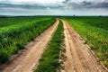 Rural summer landscape with green grass, curved dirt road Royalty Free Stock Photo