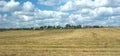 Rural summer landscape with mown field