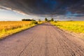 Rural summer landscape with old asphalt road Royalty Free Stock Photo