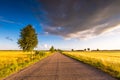 Rural summer landscape with old asphalt road Royalty Free Stock Photo
