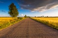Rural summer landscape with old asphalt road Royalty Free Stock Photo