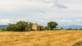 Rural summer landscape with sunflower fields and olive fields near Porto Recanati in the Marche region, Italy Royalty Free Stock Photo