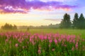 Rural summer landscape with sunrise Royalty Free Stock Photo