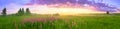 Rural summer landscape with sunrise Royalty Free Stock Photo