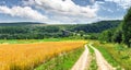 Rural summer landskape with dirty road. Royalty Free Stock Photo