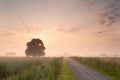 Rural summer sunrise Royalty Free Stock Photo