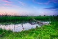 Rural summer sunrise Royalty Free Stock Photo