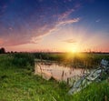 Rural summer sunrise Royalty Free Stock Photo