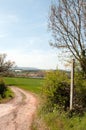 Summertime agricultural landscape in the British countryside.