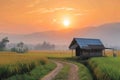 Rural sunrise Farmers hut stands amidst rice fields along a road