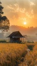 Rural sunrise Farmers hut stands amidst rice fields along a road