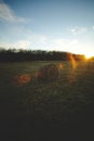 Rural sunrise landscape with a hay bale isolated in a field with trees in the background Royalty Free Stock Photo