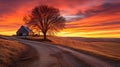 rural sunset on farm