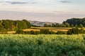 A rural Sussex view over farmand in summer