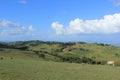 Rural Swaziland landscape with cows, Southern Africa, african nature