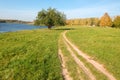 Rural track to a large spreading tree by the lake Royalty Free Stock Photo