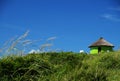 Rural Transkei Homestead Eastern Cape South Africa