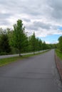 Rural Tree Lined Road With Separated Lanes