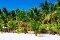 Rural tropical white sand beach with coconut palms Royalty Free Stock Photo