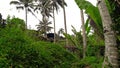 Rural in the ubud village of Bali which is very cool