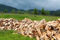 Pile of cut wood the yard of a village house, at on the logs, fst in the background. Ukraine, Carpathians.