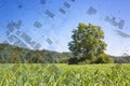 RuralÃ¢â¬âurban transformation concept with a rural scene, agricultural field, lone tree with imaginary cadastral map Royalty Free Stock Photo