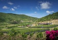 Rural valley landscape with pepper farm near kampot cambodia