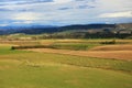 Rural View of Ashburton Taupo New Zealand Grazing Pasture