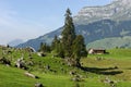 Rural view over Engelberg on Switzerland Royalty Free Stock Photo