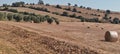 rural view typical Tuscan landscape. fields and green hillside agriculture in Grosseto in Tuscany in Italy Royalty Free Stock Photo