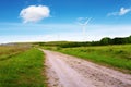 Rural view, windmill farm in the background Royalty Free Stock Photo