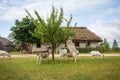 Polish village.Cattage village landscape in Poland. Royalty Free Stock Photo