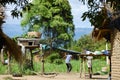 Rural Village - Malawi