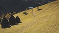 Rural village at mountain ridges aerial. Farm animals at nature landscape. Haystacks at cottage Royalty Free Stock Photo