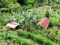 Rural village with tin roof houses in Bali, Indonesia, Asia