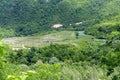 Rural vineyards in Tskhenistsqali river valley in Racha region in Georgia with lush green forests around