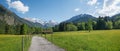 rural walkway through buttercup meadow - landscape stillach valley near oberstdorf Royalty Free Stock Photo