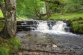 Rural waterfall in Yorkshire Royalty Free Stock Photo