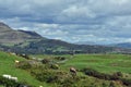 Landscape with rolling green fields and mountains in north Wales. Sheep graze in meadows with the Snowdonia mountains in the back