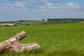 A rural West Sussex landscape on a sunny early summer\'s day