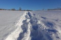 Rural winter landscape with a field snow and the blue sky Royalty Free Stock Photo