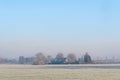 Rural winter landscape with frozen meadow Royalty Free Stock Photo