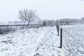 Rural winter landscape with snow Royalty Free Stock Photo