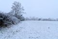 Rural winter landscape with snow Royalty Free Stock Photo