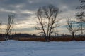 Rural winter landscape. Snow covered trees on the edge of the farm field against grey sky with dramatic clouds at winter day Royalty Free Stock Photo