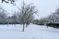 Rural winter landscape with snow Royalty Free Stock Photo