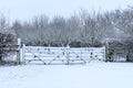 Rural winter landscape with snow Royalty Free Stock Photo