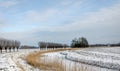 Rural winter landscape Royalty Free Stock Photo