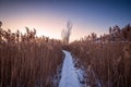 Rural winter landscape. Sunrise over snowy road. Royalty Free Stock Photo
